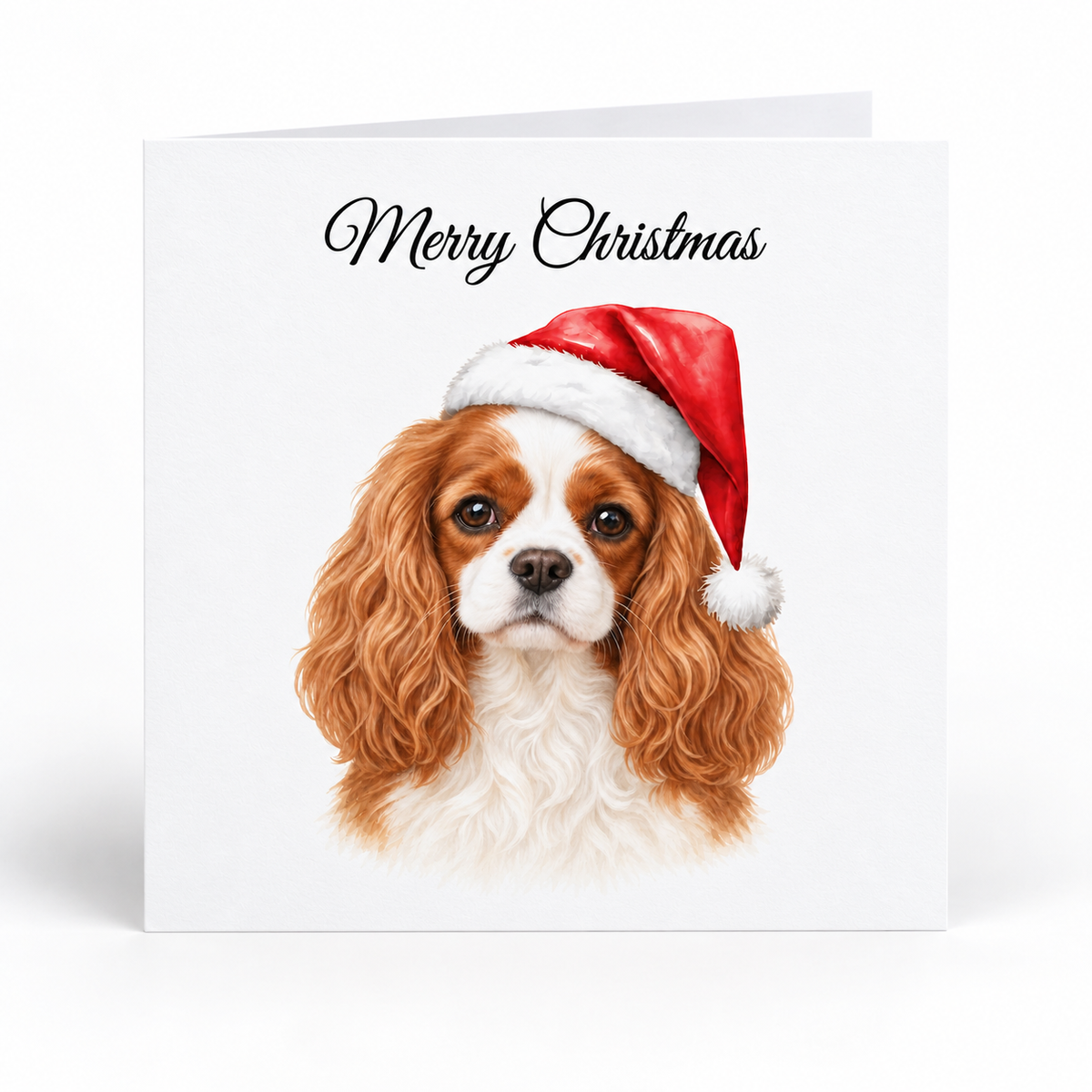 Cavalier King Charles Spaniel Santa Hat Christmas Cards - Pack of 5