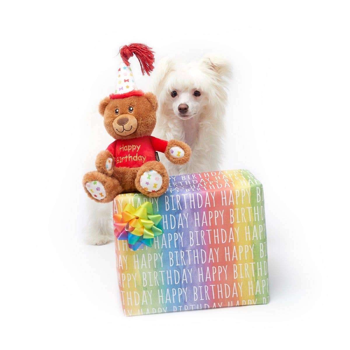 Happy Birthday Bear Dog Toy