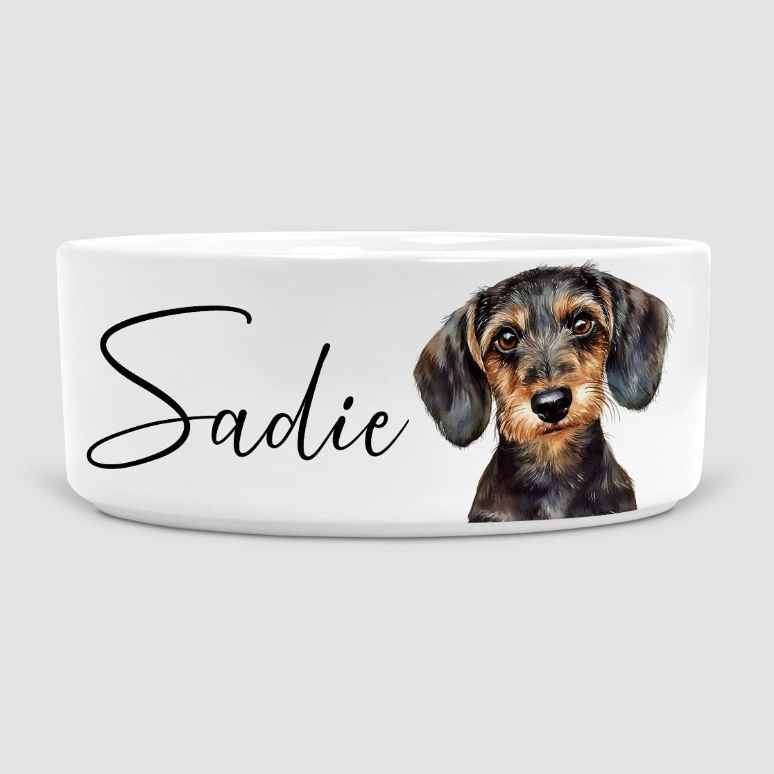 Personalised wire haired Dachshund Dog Bowl