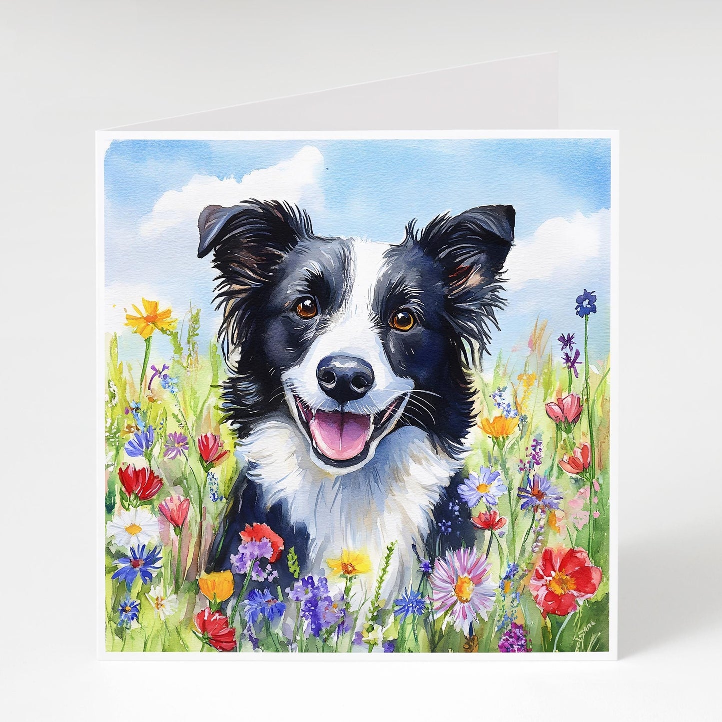 5 Pack Border Collie Cards, Wildflower Dog Cards, Save Big on Multipack Cards for birthdays, Easter, Thank you cards, or for Any Occasion