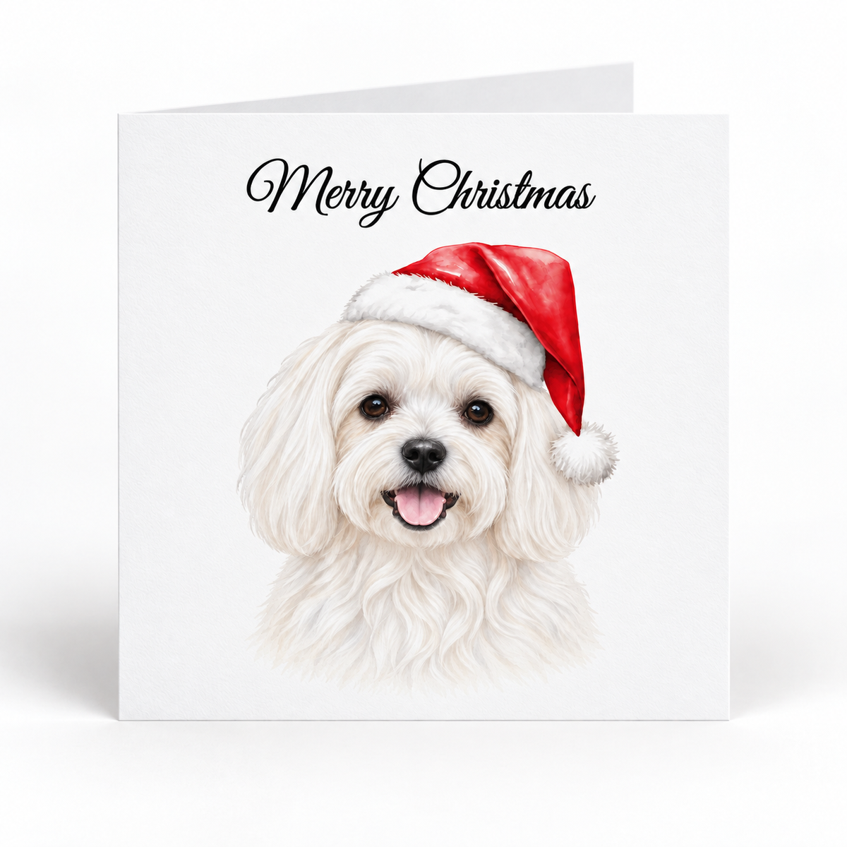 A square white Christmas greeting card with the words 'Merry Christmas' in black script at the top and an illustration of a fluffy Maltese white dog wearing a red Santa hat. The card is shown standing upright against a clean white background.