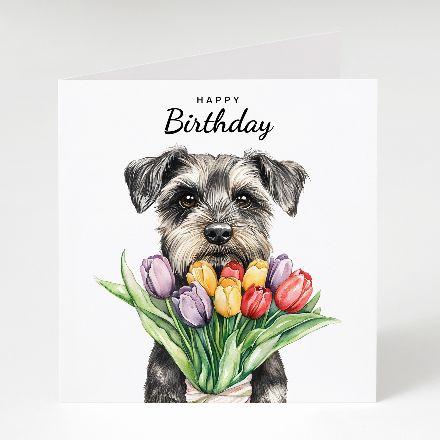 schnauzer birthday card featuring a salt and pepper miniature schnauzer with tulips
