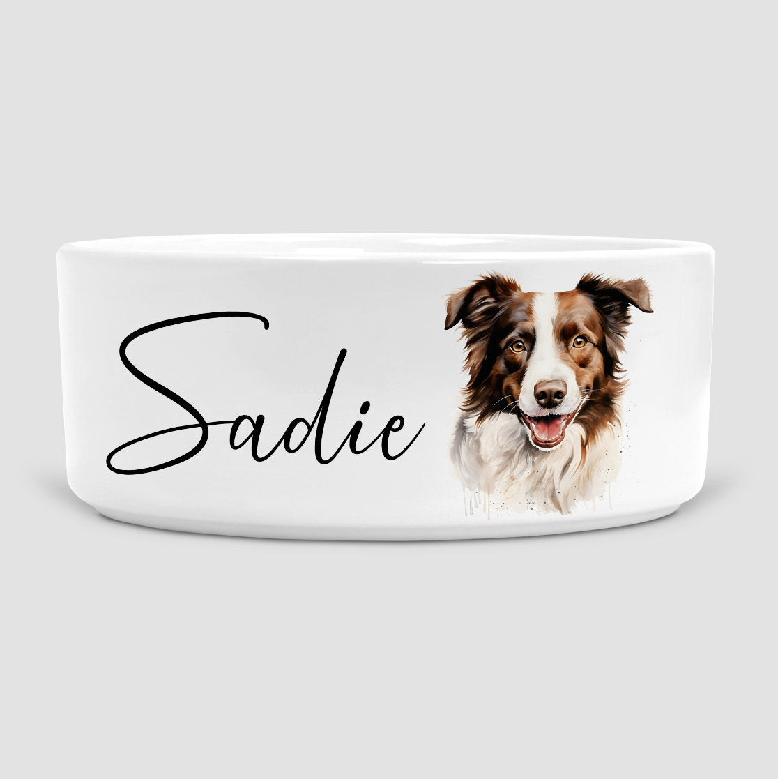 Personalised Dog Bowl, Brown Border Collie, Border Collie, Dog, Dog Bowls, Ceramic Dog Bowl, Medium Dog Bowl, Border Collie lover, Dog gift