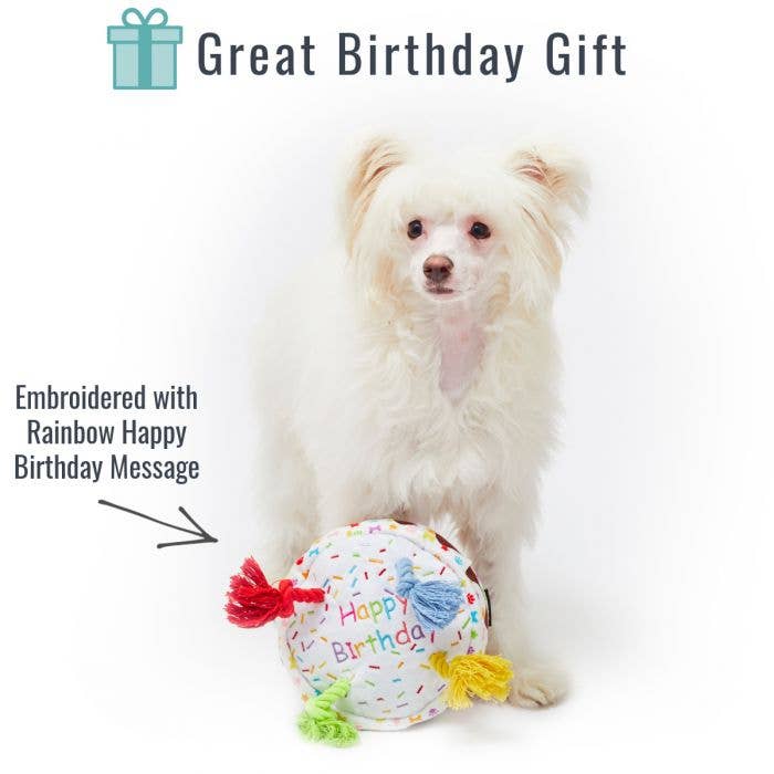 Happy Birthday Cake Plush dog toy with rope candles - small