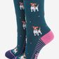 Women's Jack Russell Bamboo Socks - Forest Green / Navy