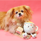 English Teacup Nosework Dog Toy