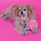 Chi-wear Lollipup Plush Dog Toy