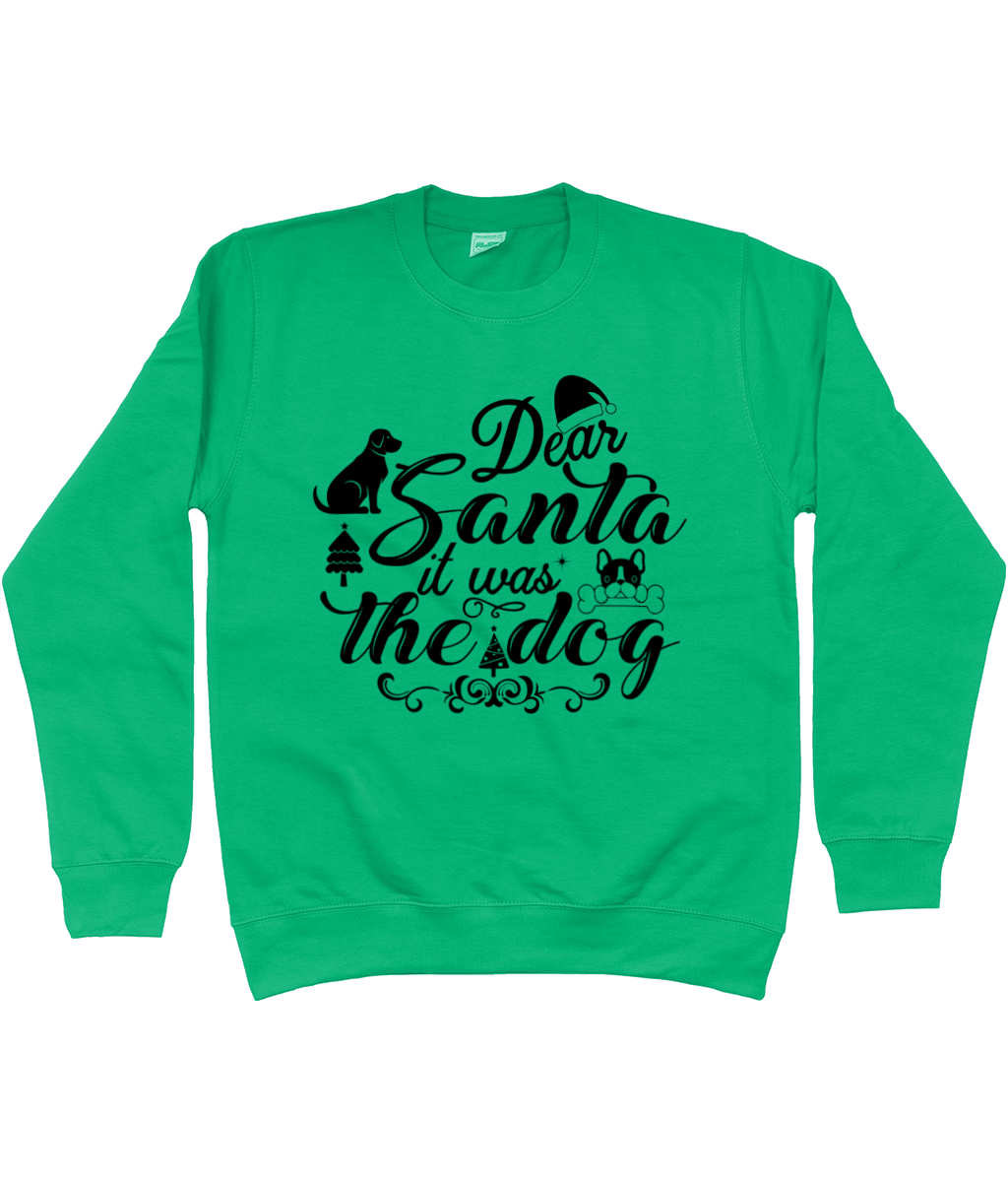 Children's Christmas Jumper -  Dear Santa, it was the dog.