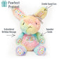 Rainbow Rabbit Birthday Dog Toy
