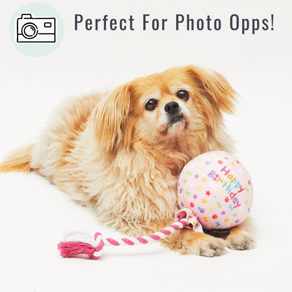 Happy Birthday Balloon Pink Dog Toy