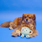 English Teacup Nosework Dog Toy