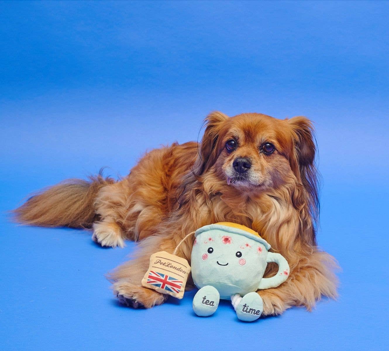 English Teacup Nosework Dog Toy