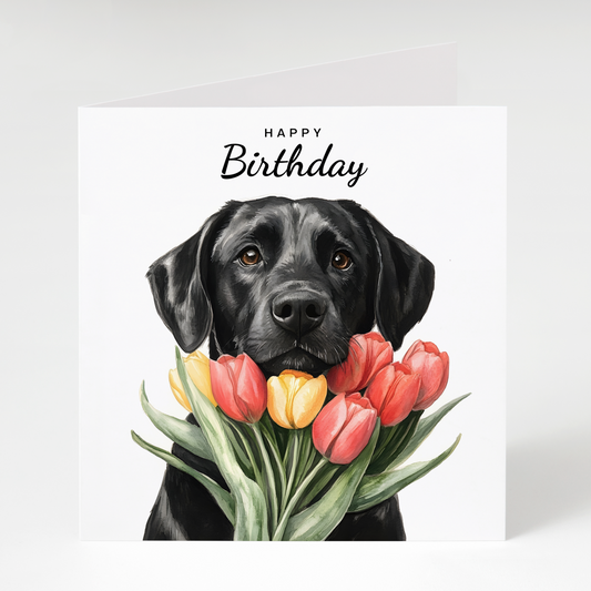 Black Labrador with Tulips Birthday Card