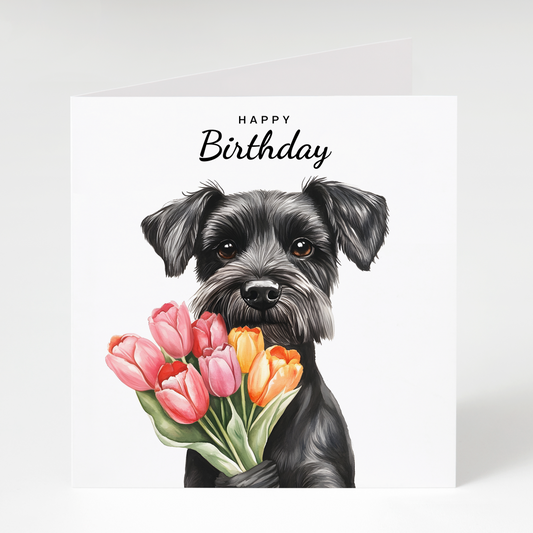 Black Miniature Schnauzer with Tulips Birthday Card