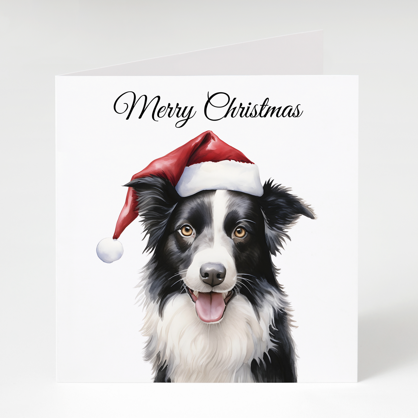 Border Collie in Santa Hat Christmas Cards pack of 5