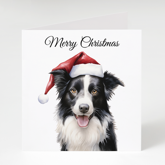 Border Collie in Santa Hat Christmas Cards pack of 5
