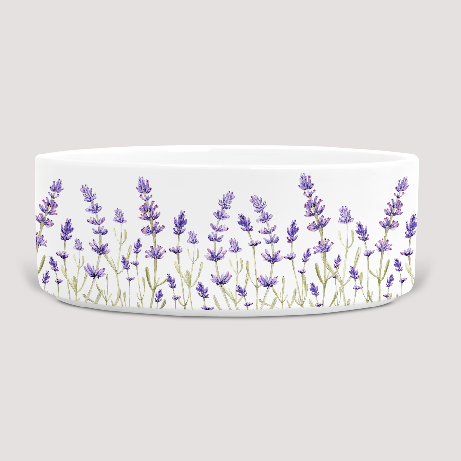 Lavender Dog  Bowl