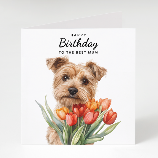 Norfolk Terrier with Tulips Birthday Card for Mum