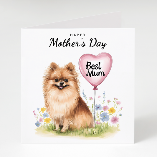 Pomeranian Best Mum Mother's Day Card