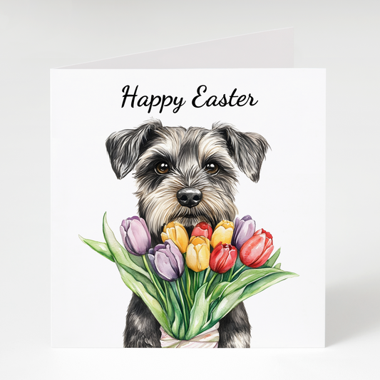 Miniature Schnauzer with tulips Easter Card