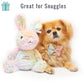 Rainbow Rabbit Birthday Dog Toy