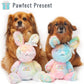 Rainbow Rabbit Birthday Dog Toy