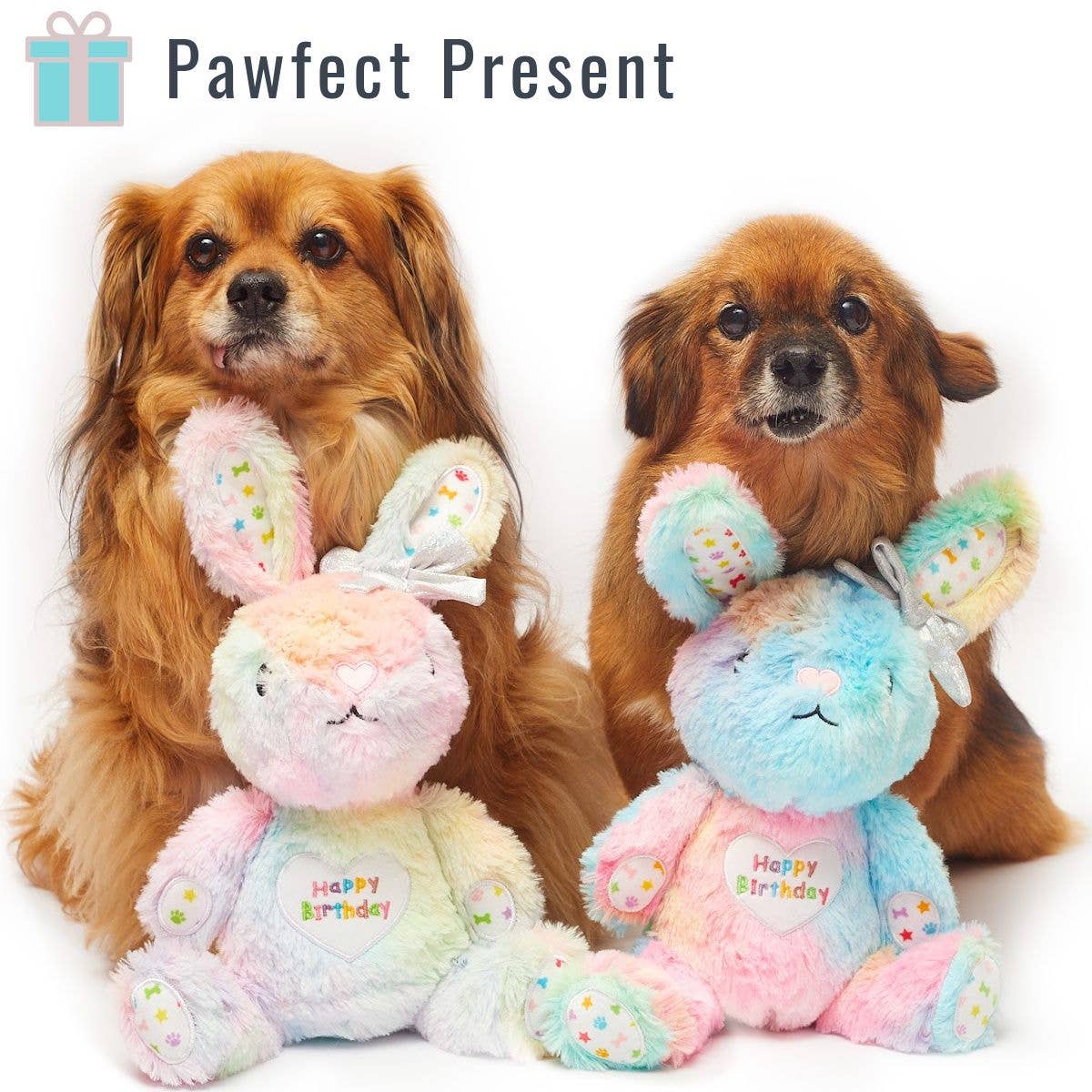 Rainbow Rabbit Birthday Dog Toy