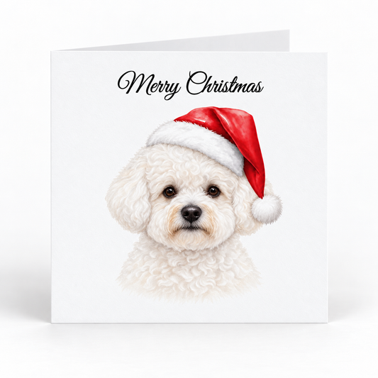 Bichon Frise Santa Hat Christmas Cards - Pack of 5