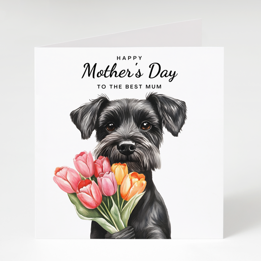 Greeting card with black schnauzer dog holding flowers and 'Happy Mother's Day to the best mum' text on a white background.