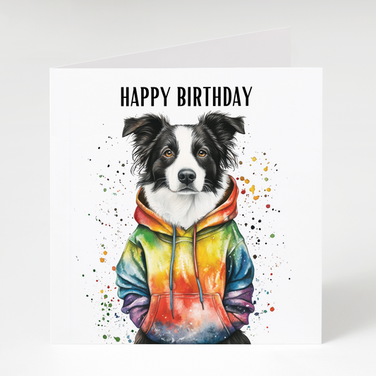 Black and White Border Collie in Hoodie Birthday Card