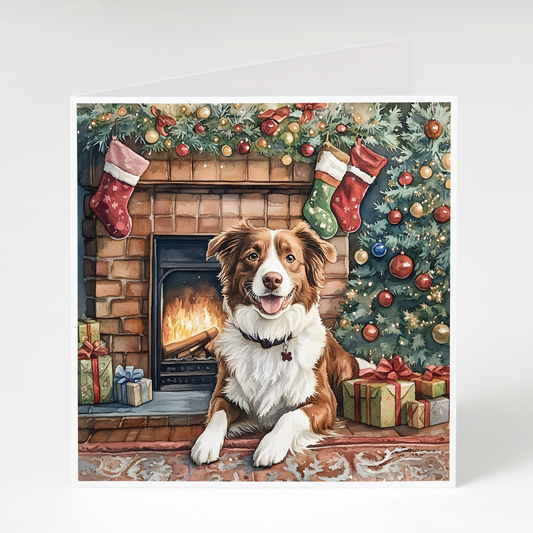 brown and white border collie sitting by a fireplace with Christmas decorations and stockings.