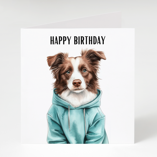Brown and White Border Collie in Hoodie Birthday Card
