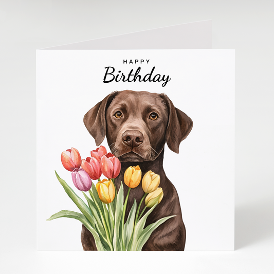 Brown Labrador with Tulips Birthday Card