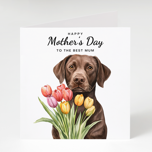Brown Labrador with Tulips Mother's Day Card