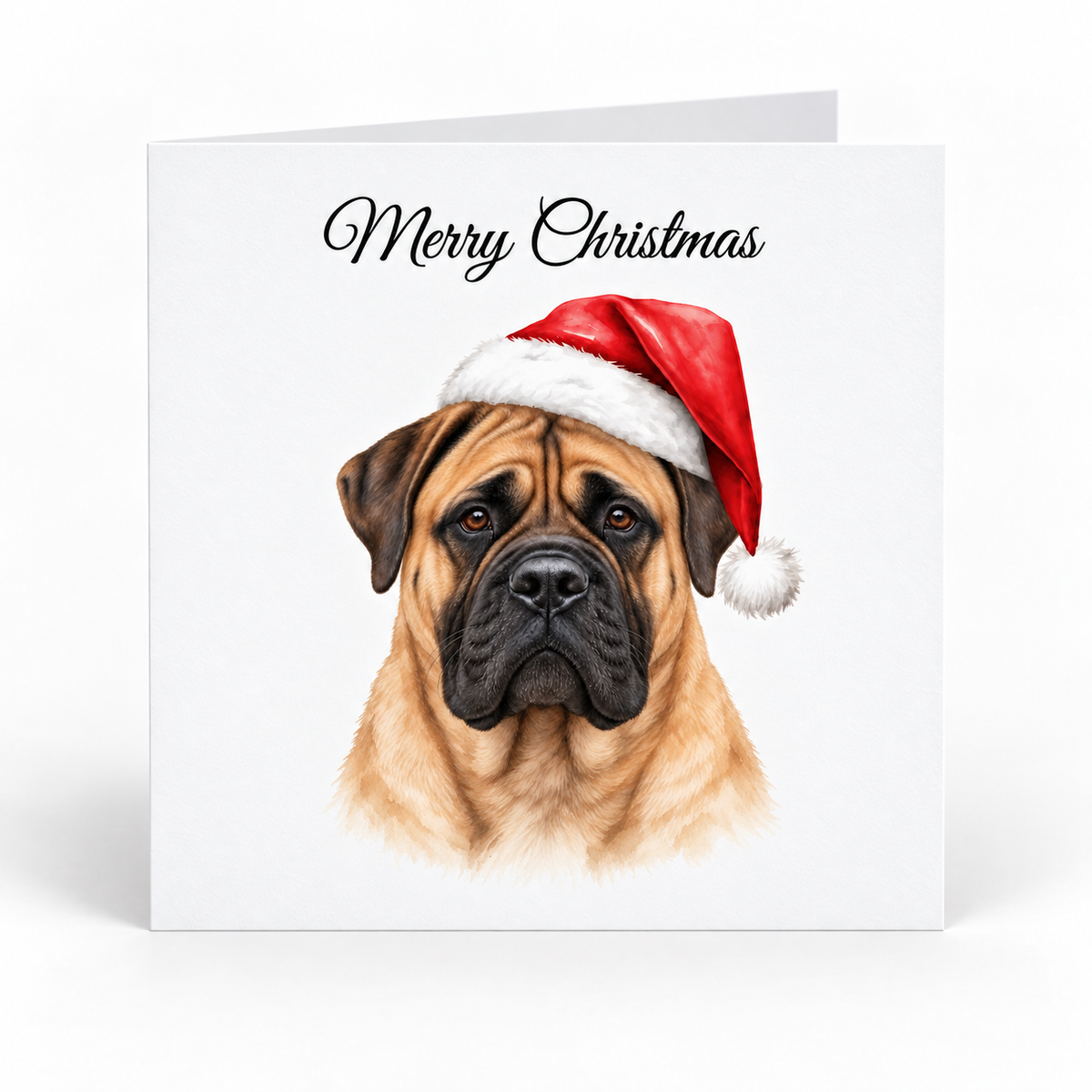 bullmastiff wearing a Santa hat Christmas card pack of 5
