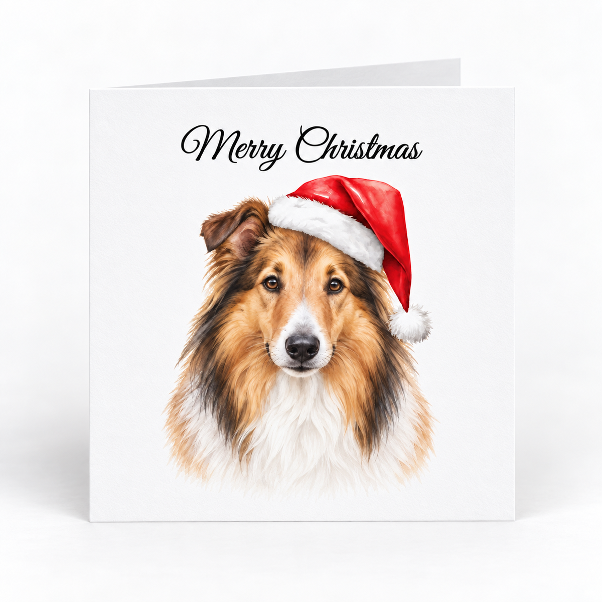 A square Christmas greeting card with a white background, featuring a portrait of a fluffy rough collie dog wearing a red Santa hat and the text 'Merry Christmas' in black script at the top.