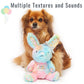 Rainbow Rabbit Birthday Dog Toy