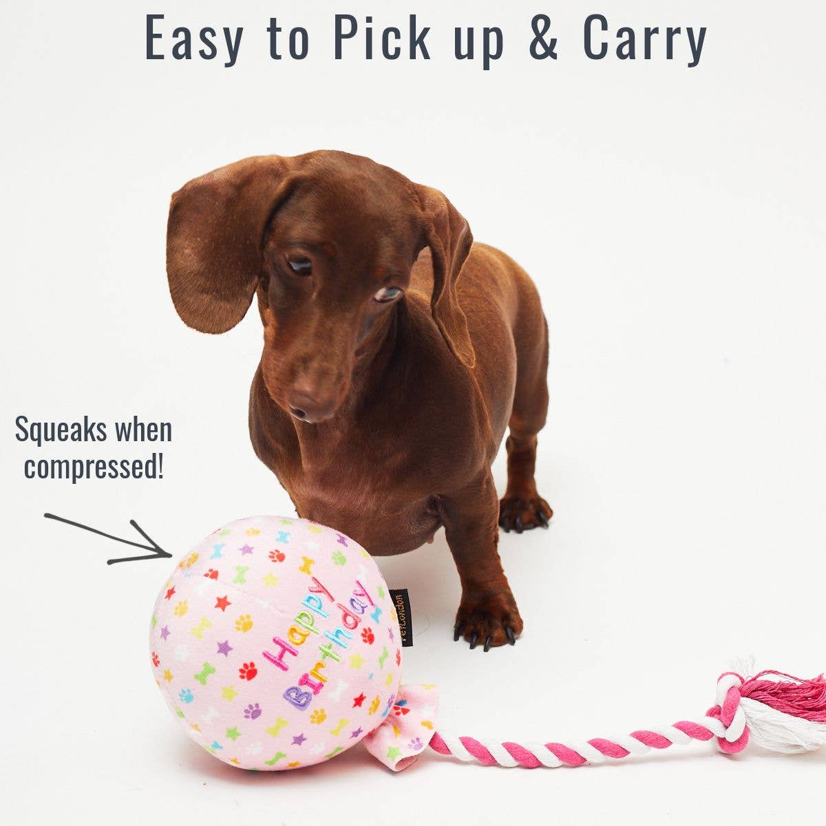 Happy Birthday Balloon Pink Dog Toy