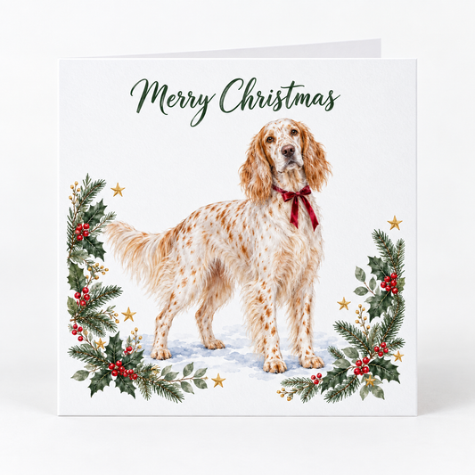 A square Christmas greeting card with a white background, featuring an illustration of a English setter dog wearing a red bow, surrounded by holly and pine garlands with red berries and small gold stars. The text 'Merry Christmas' is printed at the top in dark green script.