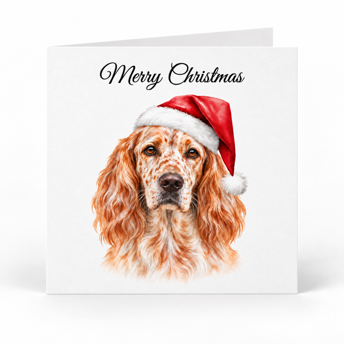 A square white Christmas greeting card with the words 'Merry Christmas' in black script at the top and a detailed illustration of a long-haired reddish-brown dog wearing a red Santa hat on the front, shown against a light gray background.