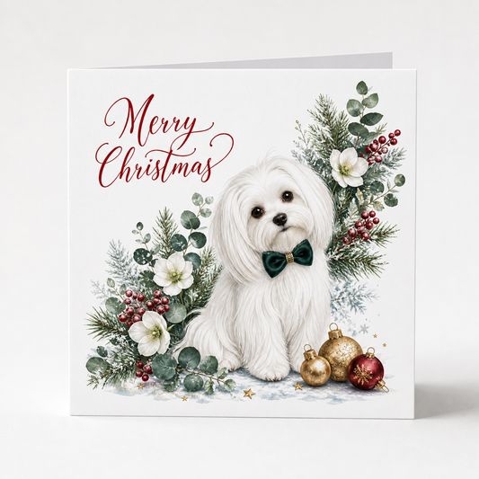 Festive Maltese Christmas Cards - Pack of 5