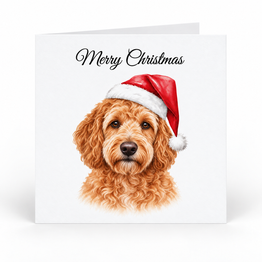 A square white Christmas greeting card with the words 'Merry Christmas' in black script at the top and an illustration of a curly-haired brown dog wearing a red Santa hat on the front, shown against a light gray background.