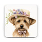 Norfolk Terrier Easter card, From the dog, for the dog, Cute Norfolk Terrier, Dog lover gift, Norfolk Terrier Lover