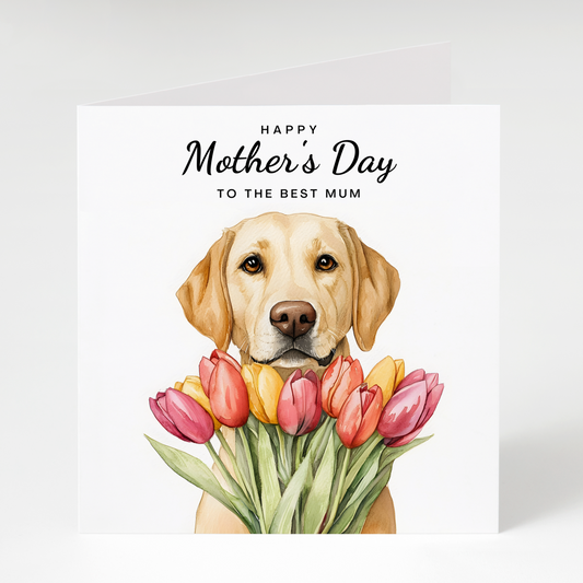 Labrador with Tulips Mother's Day Card