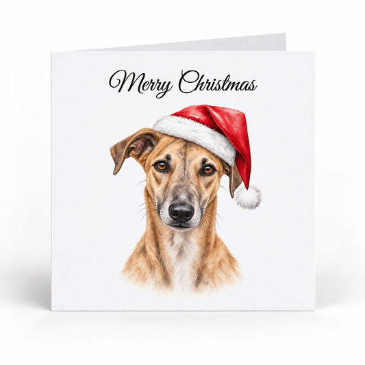 Lurcher Santa Hat Christmas Cards - Pack of 5