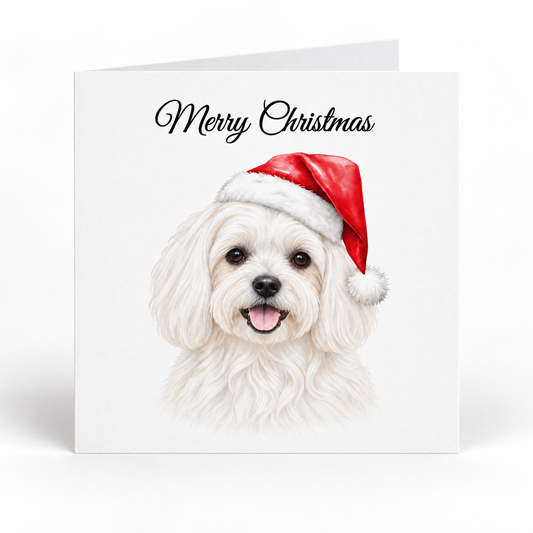 A square white Christmas greeting card with the words 'Merry Christmas' in black script at the top and an illustration of a fluffy Maltese white dog wearing a red Santa hat. The card is shown standing upright against a clean white background.