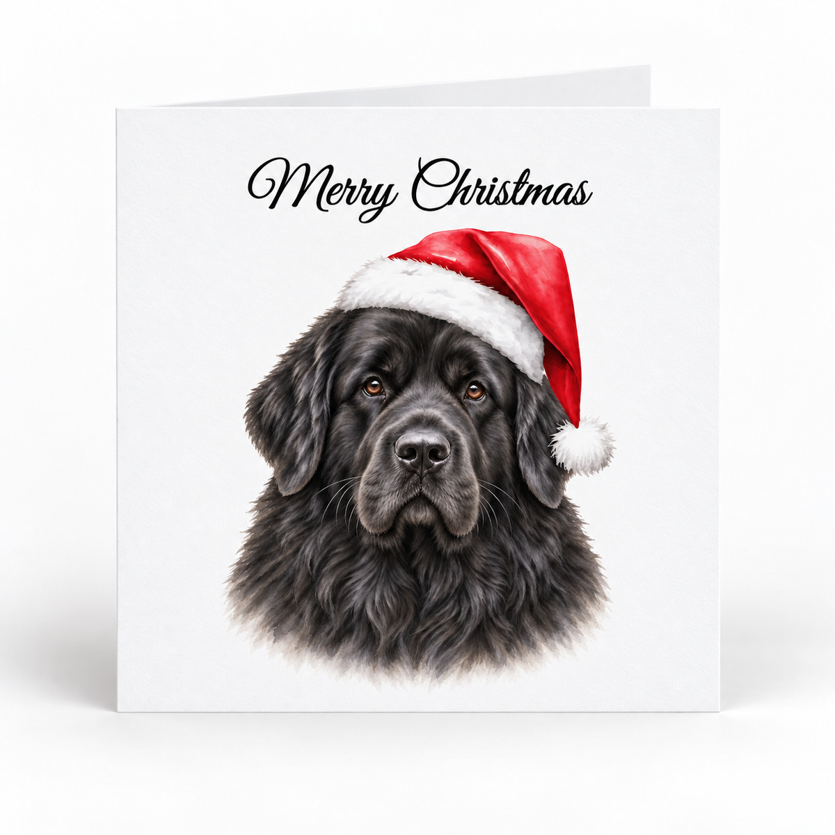 A square white Christmas greeting card featuring a detailed portrait of a black dog wearing a red Santa hat, with the text 'Merry Christmas' in black script at the top.