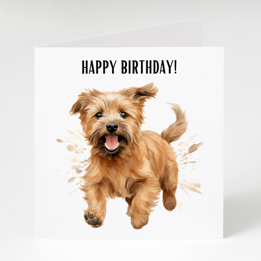 Norfolk Terrier Running Birthday Card