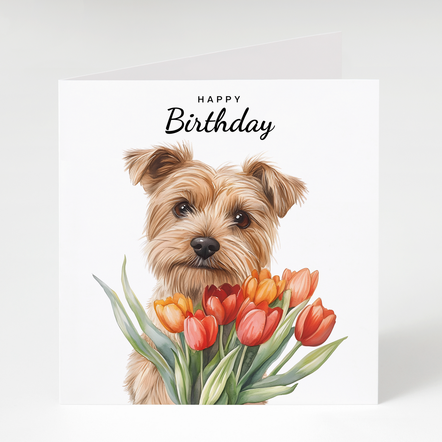 Norfolk Terrier with Tulips Birthday Card