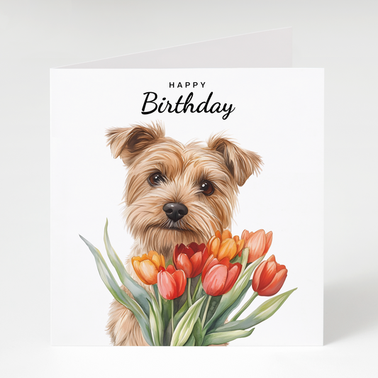 Norfolk Terrier with Tulips Birthday Card